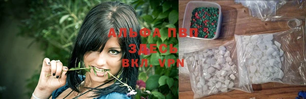 jwh Алзамай