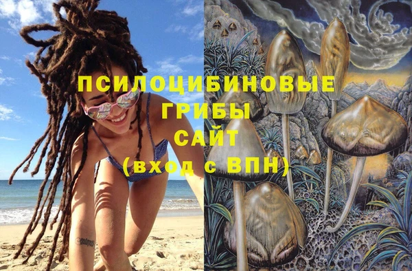 jwh Алзамай