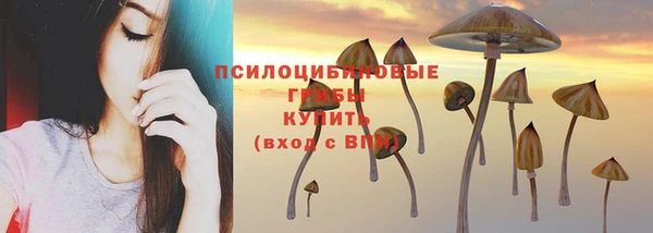 jwh Алзамай